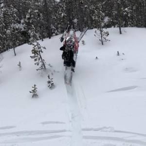 Meet your Posher, Aaron